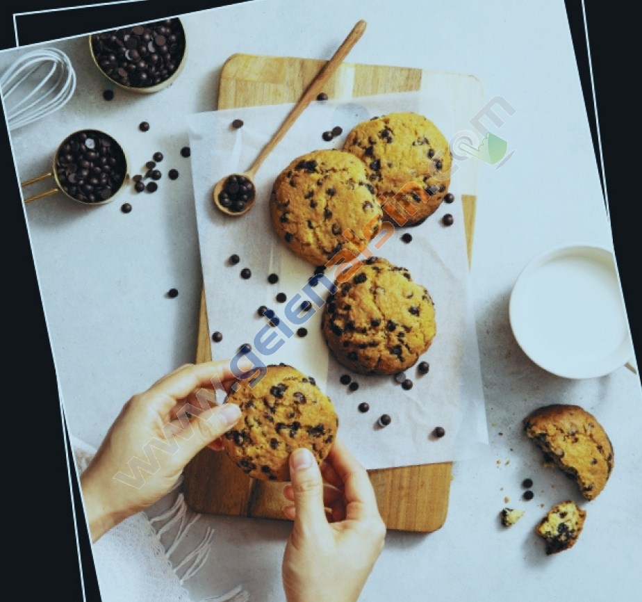 Gl General Desire GLF 9050RSP Kuzine Rustik Siyah Piliç Çevirmeli Fırın 110 LT