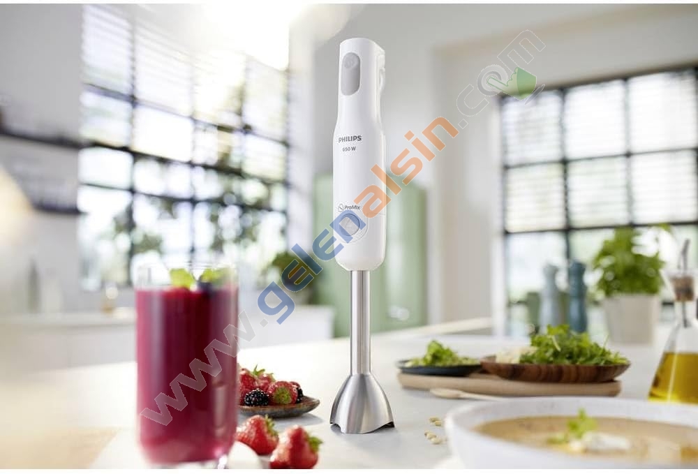 Philips Daily Collection HR2534/00 ProMix 650 W Blender